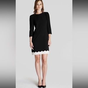 Ted Baker London Black Shift Dress with Ivory Scallop Detail TB 3 - US 8/10